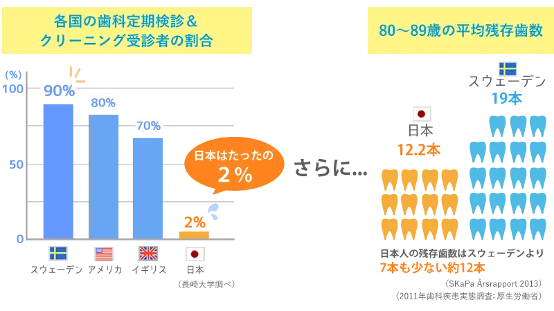 メンテナンス率と歯の残存歯数